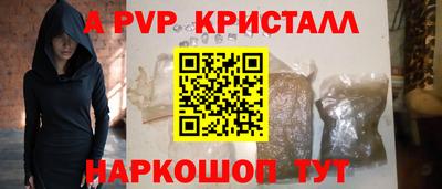 крисы Можга