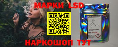 крисы Можга