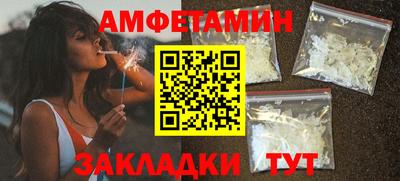 крисы Можга