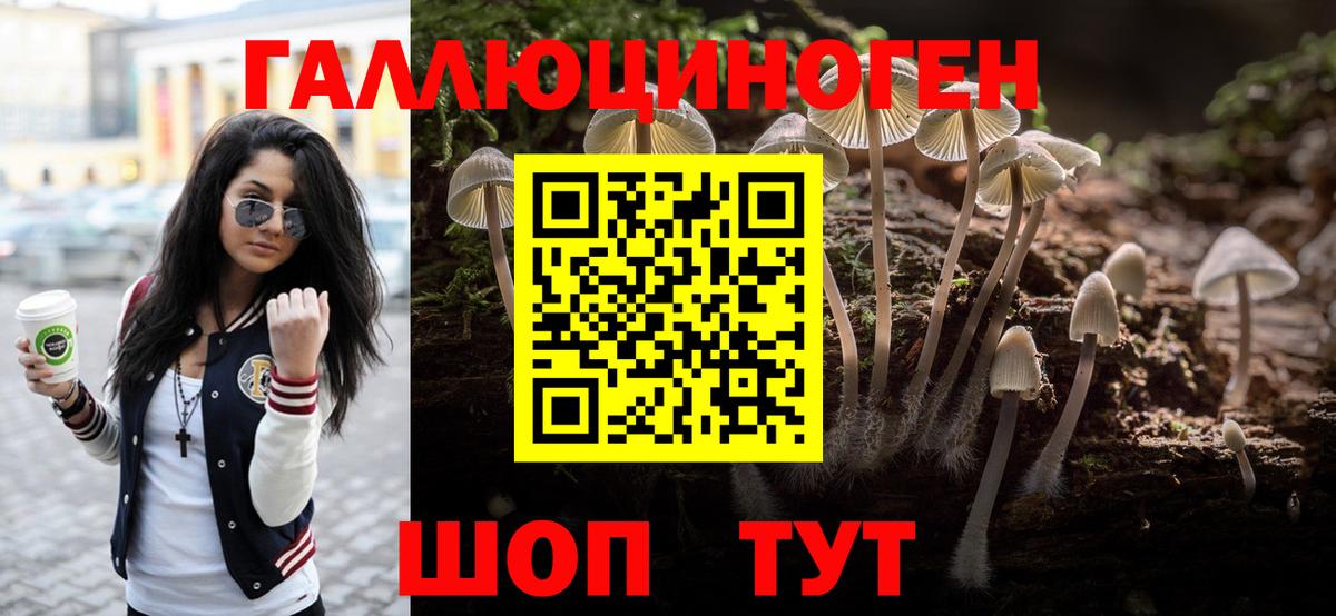 где найти наркотики  Вход с VPN  Октябрьский  Псилоцибиновые грибы прущие грибы  Галлюциногенные грибы Psilocybine cubensis 